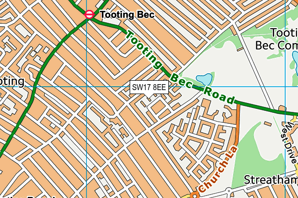 SW17 8EE map - OS VectorMap District (Ordnance Survey)