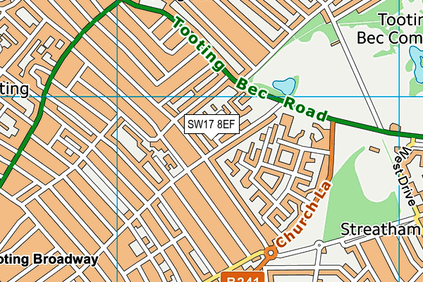 SW17 8EF map - OS VectorMap District (Ordnance Survey)