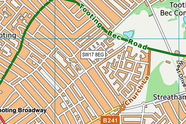 SW17 8EG map - OS VectorMap District (Ordnance Survey)