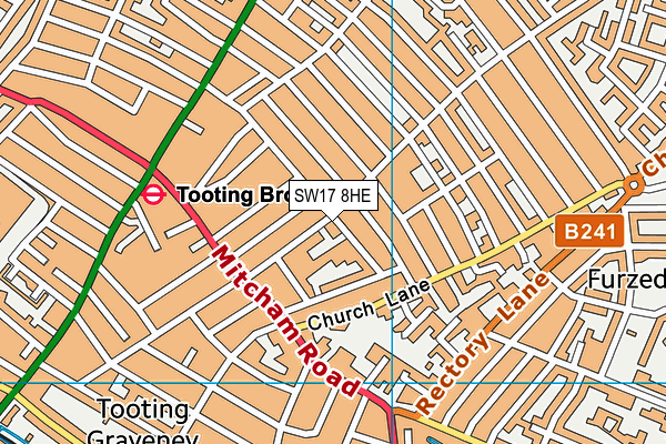 Tooting Primary School map (SW17 8HE) - OS VectorMap District (Ordnance Survey)