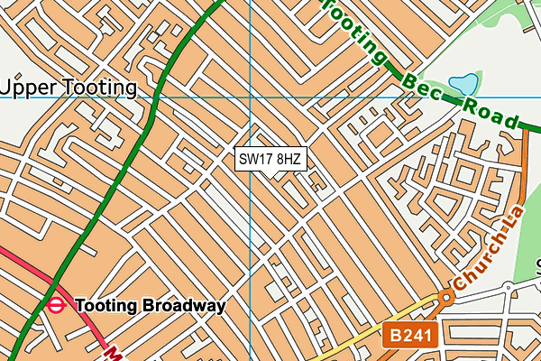 Derinton Road Community Centre map (SW17 8HZ) - OS VectorMap District (Ordnance Survey)