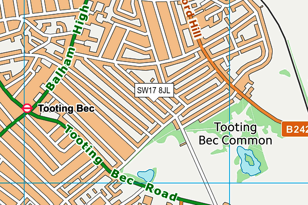 SW17 8JL map - OS VectorMap District (Ordnance Survey)