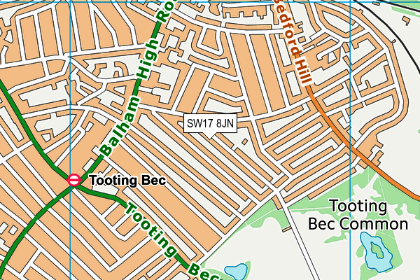 SW17 8JN map - OS VectorMap District (Ordnance Survey)