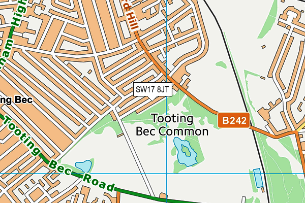 SW17 8JT map - OS VectorMap District (Ordnance Survey)
