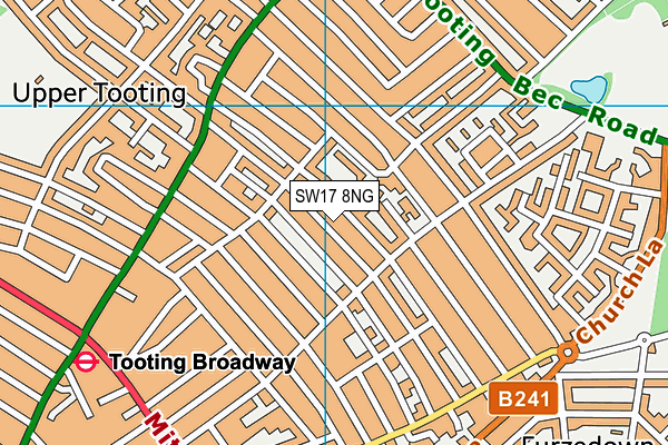 SW17 8NG map - OS VectorMap District (Ordnance Survey)