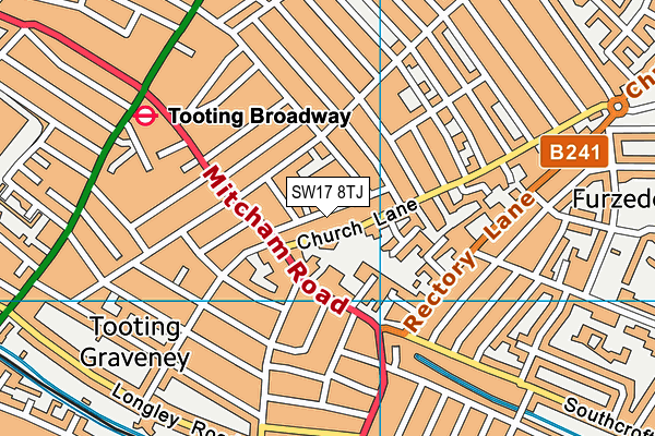 SW17 8TJ map - OS VectorMap District (Ordnance Survey)