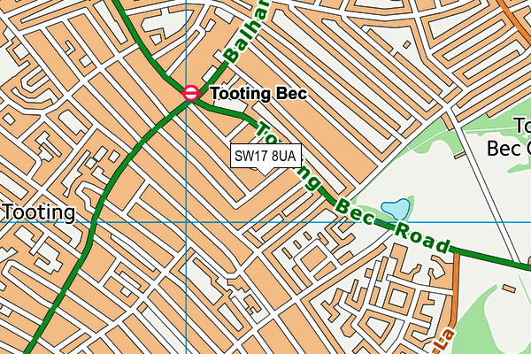 SW17 8UA map - OS VectorMap District (Ordnance Survey)