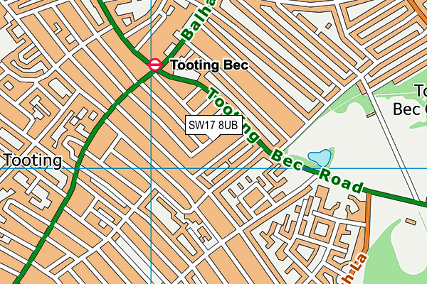 SW17 8UB map - OS VectorMap District (Ordnance Survey)