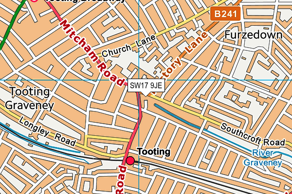 SW17 9JE map - OS VectorMap District (Ordnance Survey)