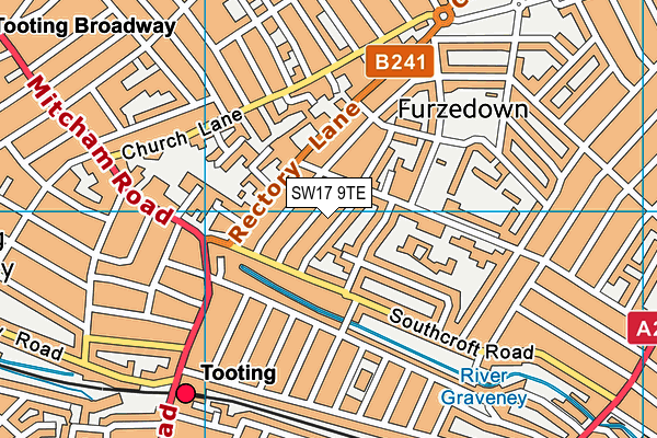 SW17 9TE map - OS VectorMap District (Ordnance Survey)