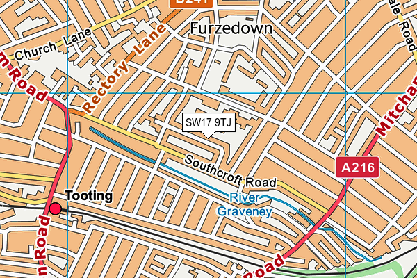 Furzedown Primary School map (SW17 9TJ) - OS VectorMap District (Ordnance Survey)