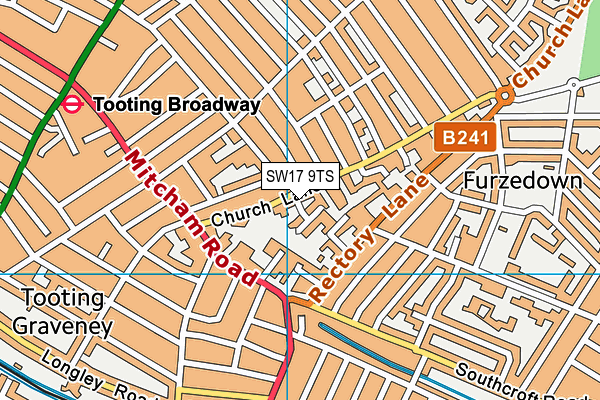 SW17 9TS map - OS VectorMap District (Ordnance Survey)