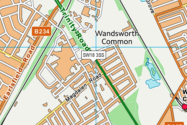 SW18 3SS map - OS VectorMap District (Ordnance Survey)