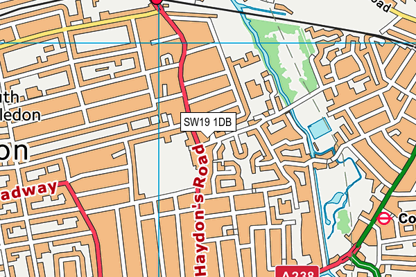 SW19 1DB map - OS VectorMap District (Ordnance Survey)