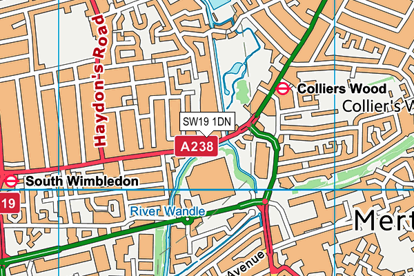 SW19 1DN map - OS VectorMap District (Ordnance Survey)