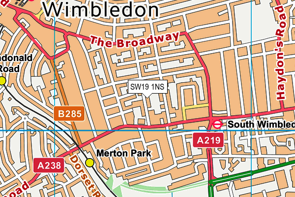 SW19 1NS map - OS VectorMap District (Ordnance Survey)