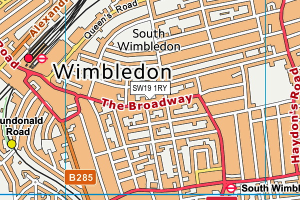 Ymca (Wimbledon) map (SW19 1RY) - OS VectorMap District (Ordnance Survey)