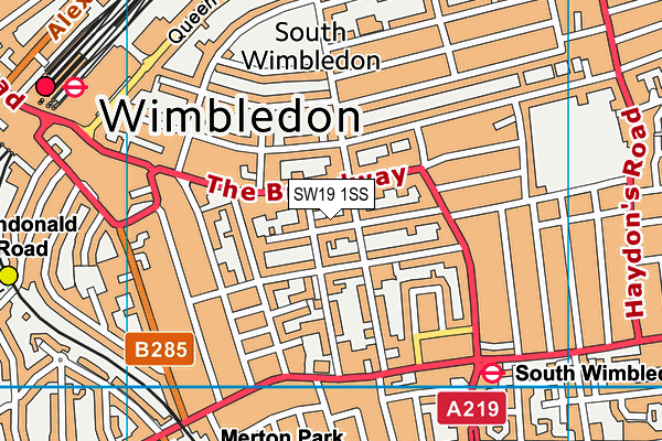 SW19 1SS map - OS VectorMap District (Ordnance Survey)