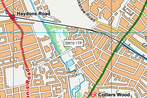SW19 1TP map - OS VectorMap District (Ordnance Survey)