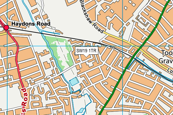 SW19 1TR map - OS VectorMap District (Ordnance Survey)