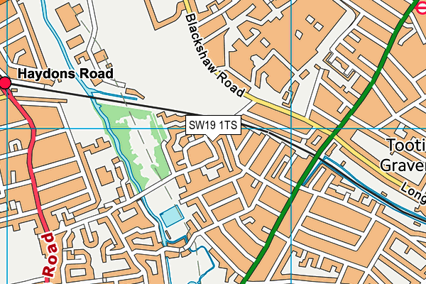 SW19 1TS map - OS VectorMap District (Ordnance Survey)