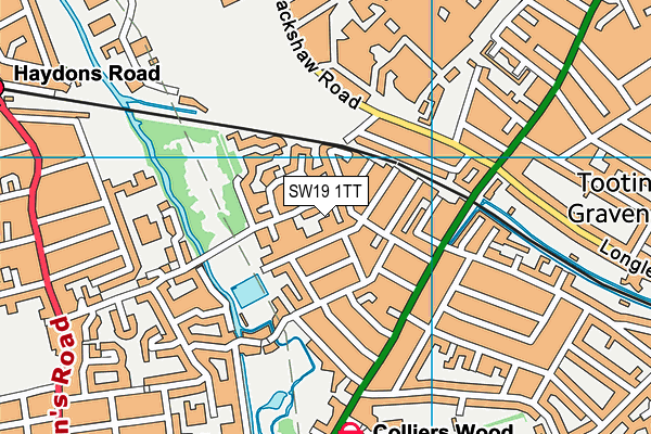 SW19 1TT map - OS VectorMap District (Ordnance Survey)
