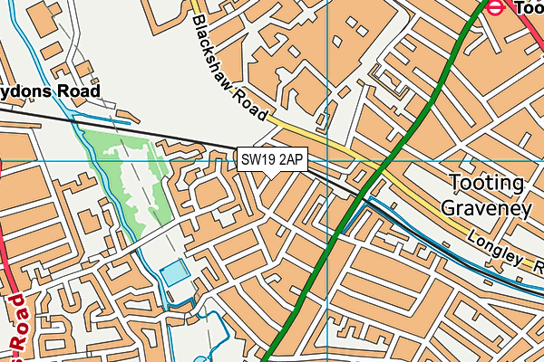 SW19 2AP map - OS VectorMap District (Ordnance Survey)