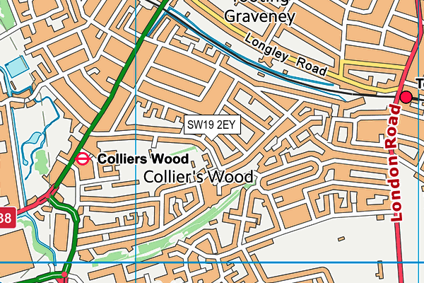 SW19 2EY map - OS VectorMap District (Ordnance Survey)