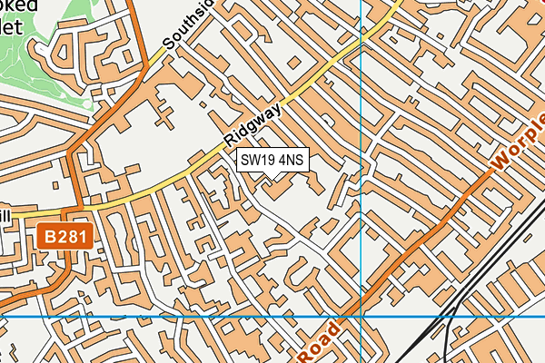 SW19 4NS map - OS VectorMap District (Ordnance Survey)