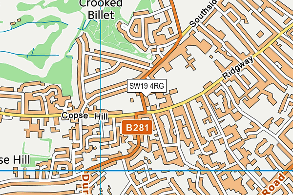 SW19 4RG map - OS VectorMap District (Ordnance Survey)