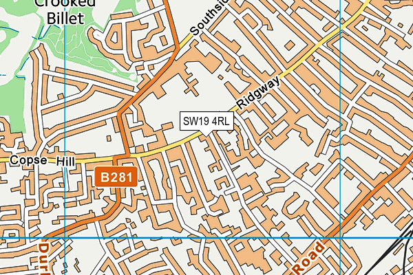 SW19 4RL map - OS VectorMap District (Ordnance Survey)