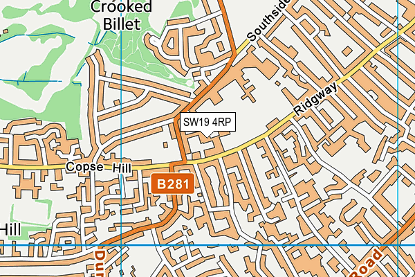 SW19 4RP map - OS VectorMap District (Ordnance Survey)