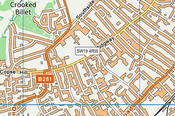 SW19 4RW map - OS VectorMap District (Ordnance Survey)