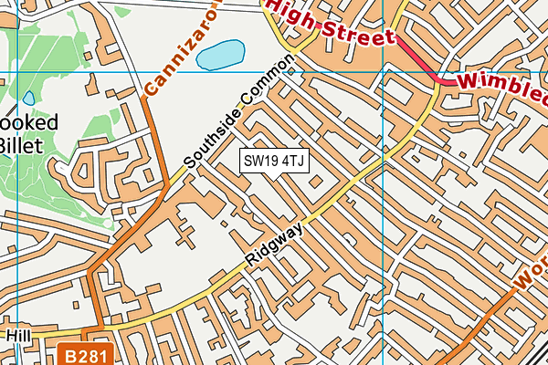 SW19 4TJ map - OS VectorMap District (Ordnance Survey)