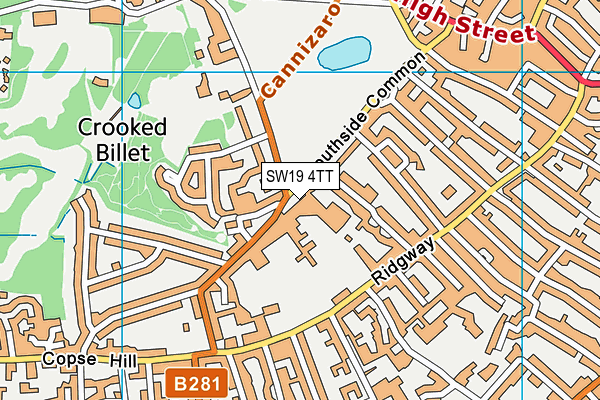King's College School map (SW19 4TT) - OS VectorMap District (Ordnance Survey)