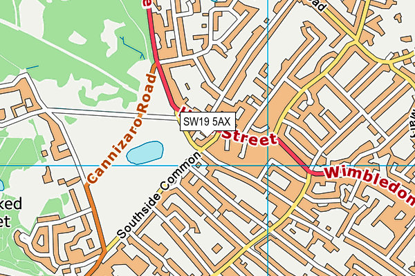 SW19 5AX map - OS VectorMap District (Ordnance Survey)