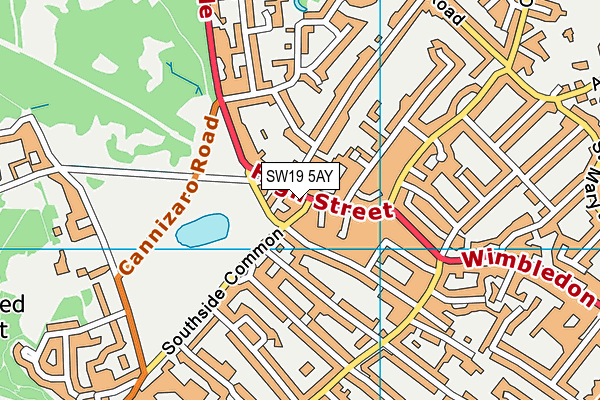 SW19 5AY map - OS VectorMap District (Ordnance Survey)