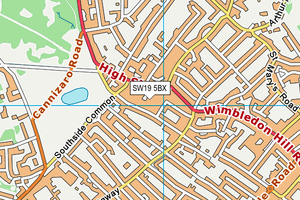 SW19 5BX map - OS VectorMap District (Ordnance Survey)