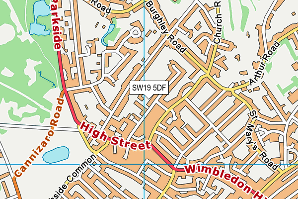 SW19 5DF map - OS VectorMap District (Ordnance Survey)