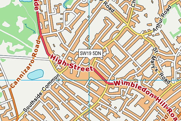 SW19 5DN map - OS VectorMap District (Ordnance Survey)