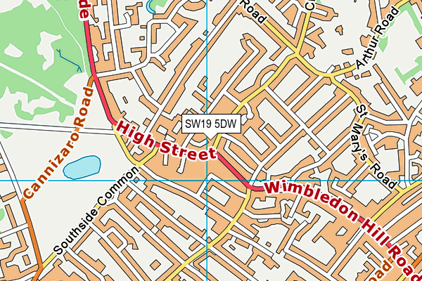 SW19 5DW map - OS VectorMap District (Ordnance Survey)