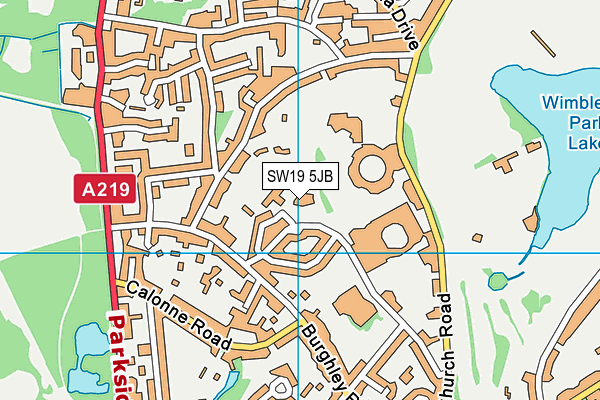 SW19 5JB map - OS VectorMap District (Ordnance Survey)