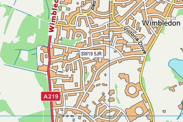 SW19 5JR map - OS VectorMap District (Ordnance Survey)