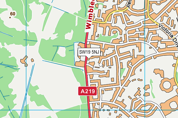 SW19 5NJ map - OS VectorMap District (Ordnance Survey)