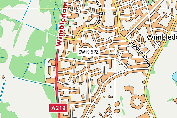 SW19 5PZ map - OS VectorMap District (Ordnance Survey)