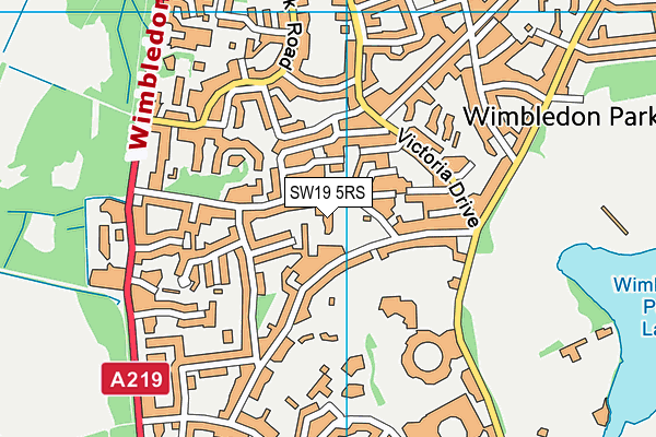 SW19 5RS map - OS VectorMap District (Ordnance Survey)