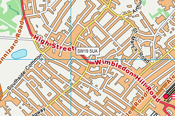 SW19 5UA map - OS VectorMap District (Ordnance Survey)