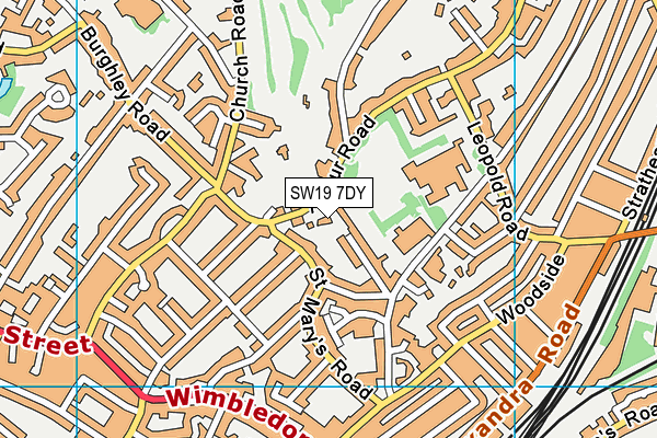 SW19 7DY map - OS VectorMap District (Ordnance Survey)