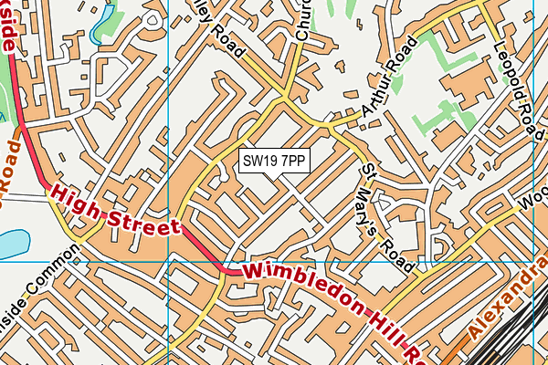 SW19 7PP map - OS VectorMap District (Ordnance Survey)