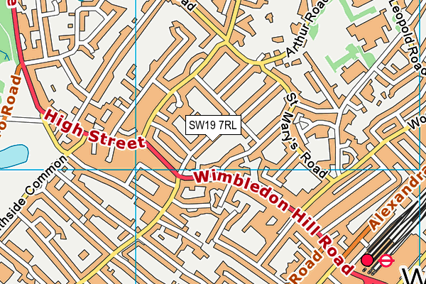 SW19 7RL map - OS VectorMap District (Ordnance Survey)